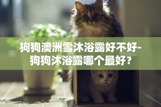狗狗澳洲雪沐浴露好不好-狗狗沐浴露哪個最好？