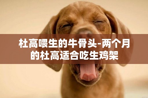 杜高喂生的牛骨頭-兩個月的杜高適合吃生雞架