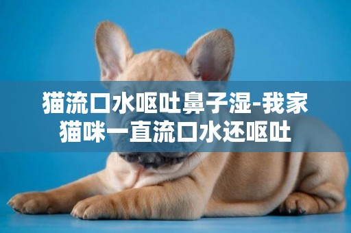 貓流口水嘔吐鼻子濕-我家貓咪一直流口水還嘔吐