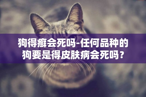 狗得癬會死嗎-任何品種的狗要是得皮膚病會死嗎？