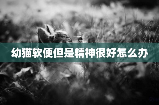 幼貓軟便但是精神很好怎么辦