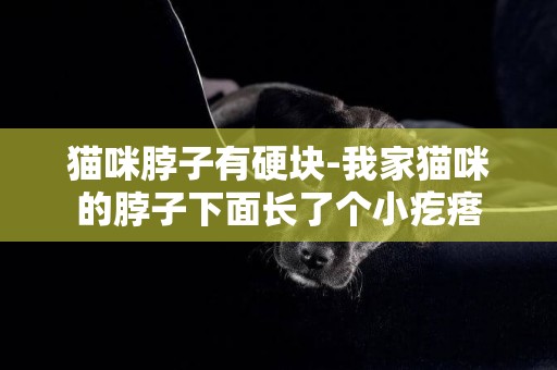 貓咪脖子有硬塊-我家貓咪的脖子下面長了個小疙瘩
