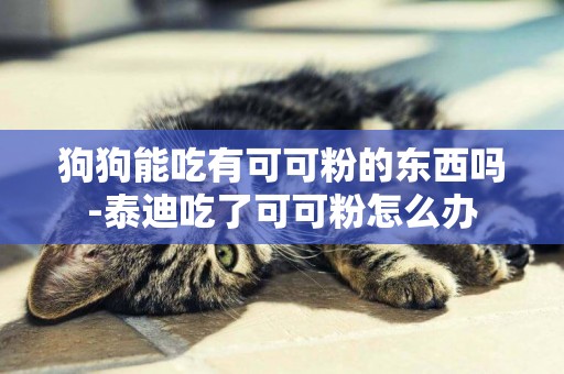 狗狗能吃有可可粉的東西嗎-泰迪吃了可可粉怎么辦