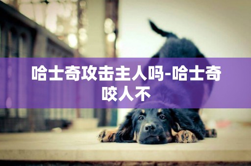 哈士奇攻擊主人嗎-哈士奇咬人不