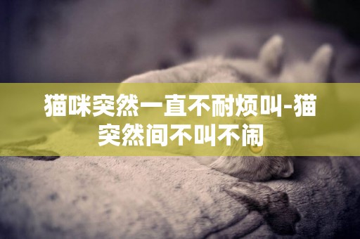 貓咪突然一直不耐煩叫-貓突然間不叫不鬧