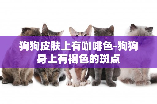 狗狗皮膚上有咖啡色-狗狗身上有褐色的斑點