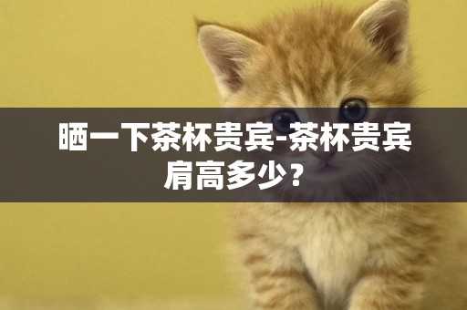 曬一下茶杯貴賓-茶杯貴賓肩高多少？