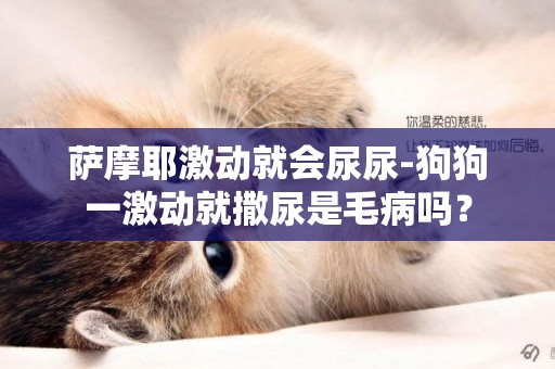 薩摩耶激動就會尿尿-狗狗一激動就撒尿是毛病嗎？