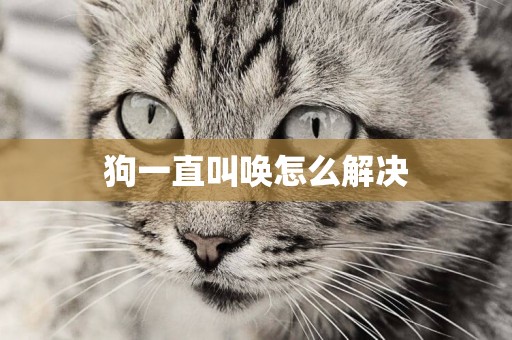 狗一直叫喚怎么解決
