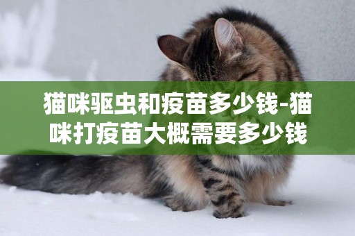 貓咪驅蟲和疫苗多少錢-貓咪打疫苗大概需要多少錢