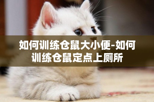 如何訓練倉鼠大小便-如何訓練倉鼠定點上廁所