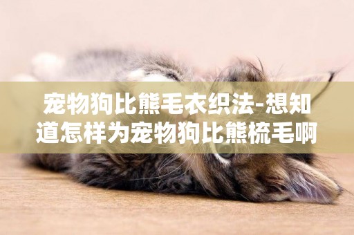 寵物狗比熊毛衣織法-想知道怎樣為寵物狗比熊梳毛啊？