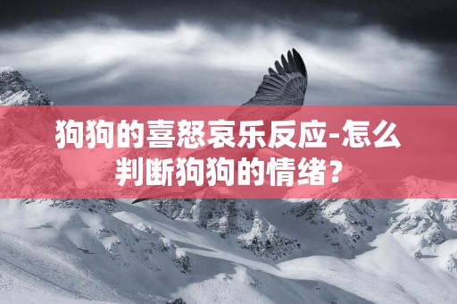 狗狗的喜怒哀樂反應-怎么判斷狗狗的情緒？