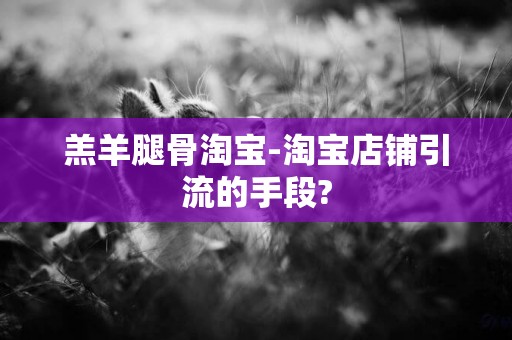 羔羊腿骨淘寶-淘寶店鋪引流的手段?