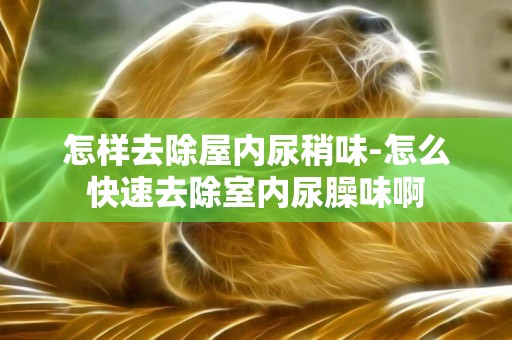 怎樣去除屋內尿稍味-怎么快速去除室內尿臊味啊