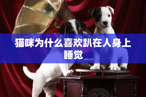 貓咪為什么喜歡趴在人身上睡覺