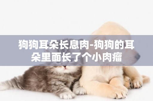 狗狗耳朵長息肉-狗狗的耳朵里面長了個小肉瘤