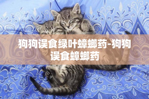 狗狗誤食綠葉蟑螂藥-狗狗誤食蟑螂藥