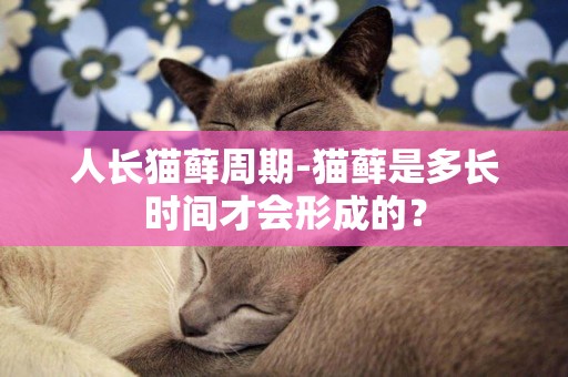 人長貓蘚周期-貓蘚是多長時間才會形成的？