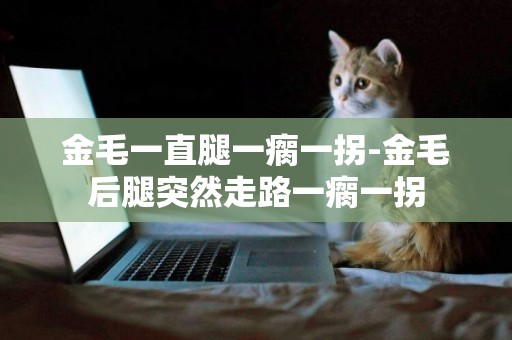金毛一直腿一瘸一拐-金毛后腿突然走路一瘸一拐