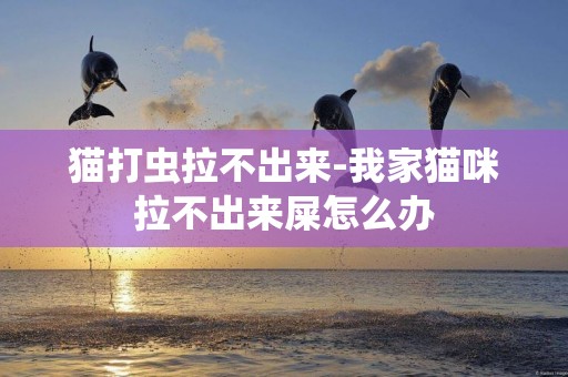 貓打蟲拉不出來-我家貓咪拉不出來屎怎么辦
