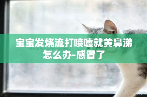 寶寶發燒流打噴嚏就黃鼻涕怎么辦-感冒了