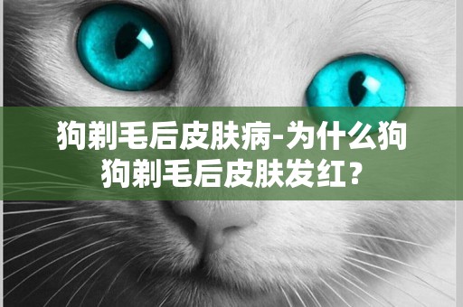狗剃毛后皮膚病-為什么狗狗剃毛后皮膚發紅？