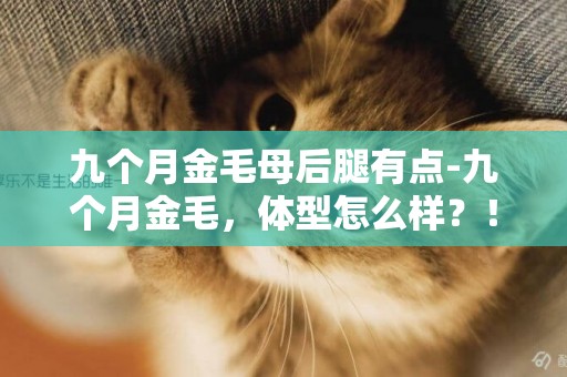 九個月金毛母后腿有點-九個月金毛，體型怎么樣？！