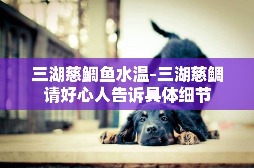 三湖慈鯛魚水溫-三湖慈鯛請好心人告訴具體細節
