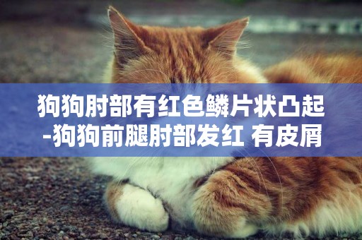 狗狗肘部有紅色鱗片狀凸起-狗狗前腿肘部發紅 有皮屑