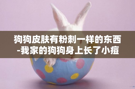狗狗皮膚有粉刺一樣的東西-我家的狗狗身上長了小痘痘