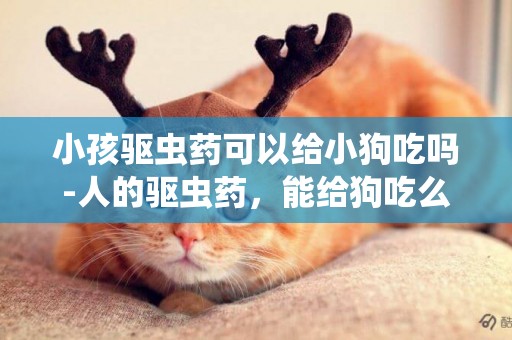 小孩驅蟲藥可以給小狗吃嗎-人的驅蟲藥，能給狗吃么？