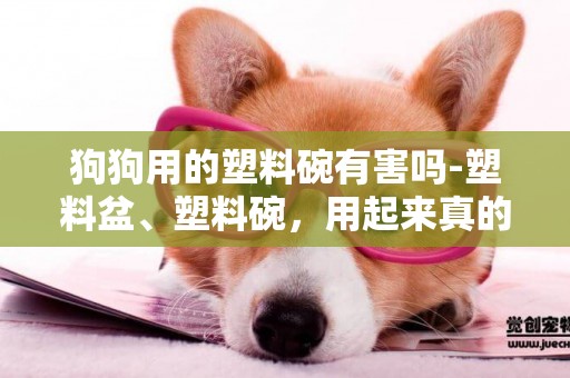 狗狗用的塑料碗有害嗎-塑料盆、塑料碗，用起來真的有毒嗎？