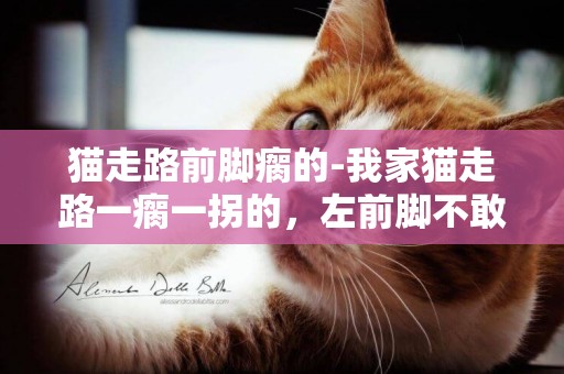貓走路前腳瘸的-我家貓走路一瘸一拐的，左前腳不敢用力？