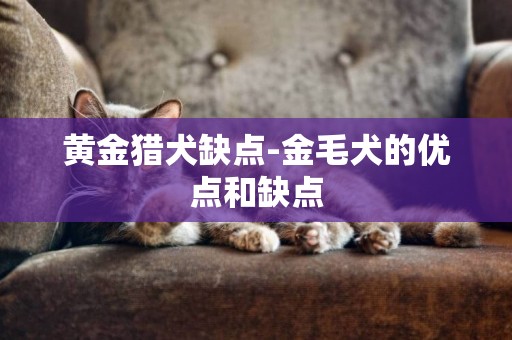 黃金獵犬缺點-金毛犬的優點和缺點