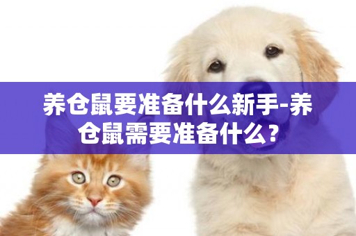 養倉鼠要準備什么新手-養倉鼠需要準備什么？