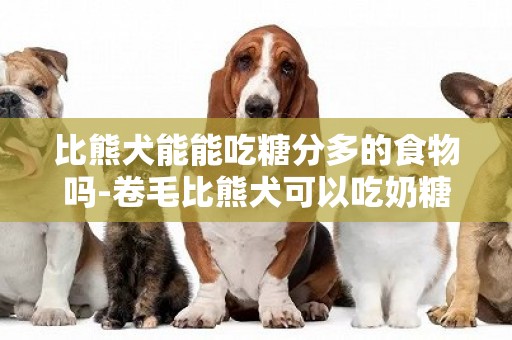 比熊犬能能吃糖分多的食物嗎-卷毛比熊犬可以吃奶糖嗎