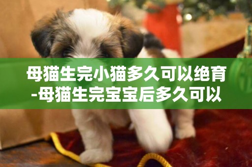 母貓生完小貓多久可以絕育-母貓生完寶寶后多久可以去做絕育阿