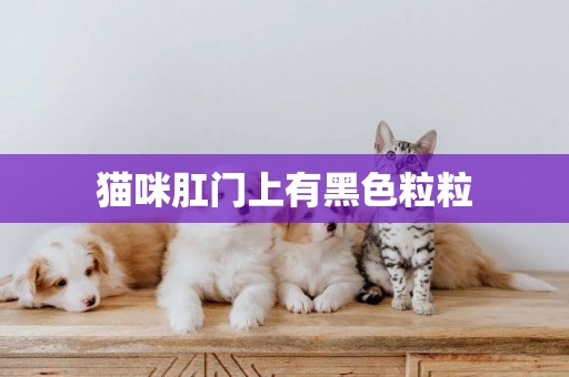 貓咪肛門上有黑色粒粒
