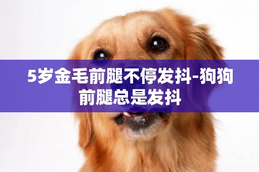 5歲金毛前腿不停發抖-狗狗前腿總是發抖