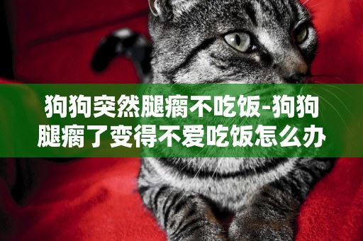 狗狗突然腿瘸不吃飯-狗狗腿瘸了變得不愛吃飯怎么辦?