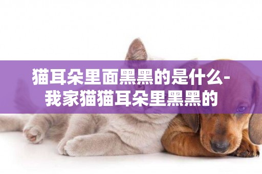 貓耳朵里面黑黑的是什么-我家貓貓耳朵里黑黑的