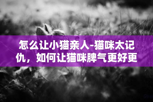 怎么讓小貓親人-貓咪太記仇，如何讓貓咪脾氣更好更親人