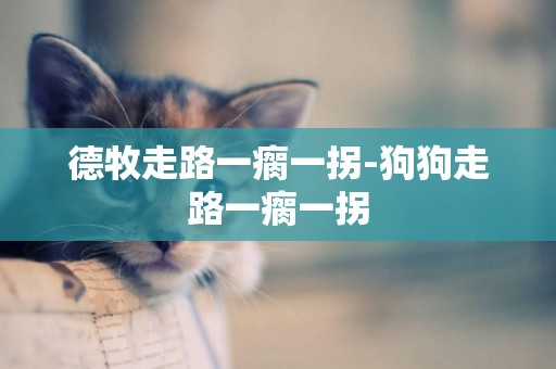 德牧走路一瘸一拐-狗狗走路一瘸一拐