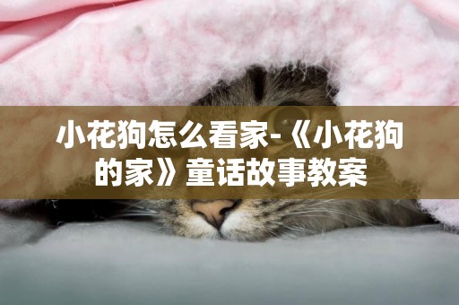 小花狗怎么看家-《小花狗的家》童話故事教案