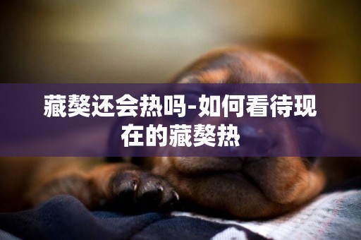 藏獒還會熱嗎-如何看待現在的藏獒熱