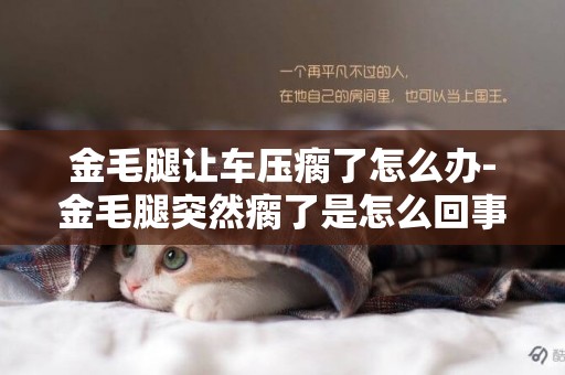 金毛腿讓車壓瘸了怎么辦-金毛腿突然瘸了是怎么回事？
