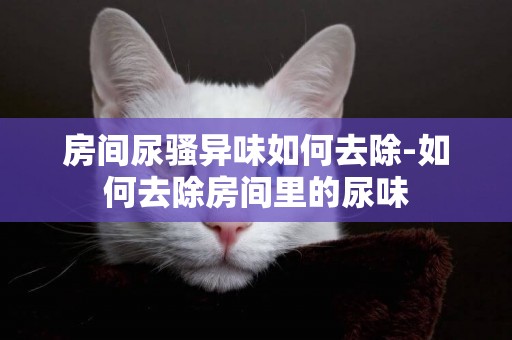 房間尿騷異味如何去除-如何去除房間里的尿味