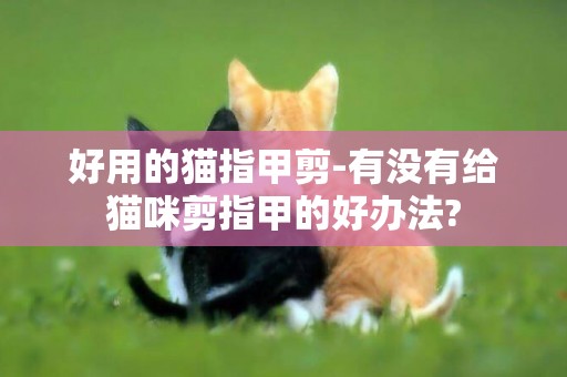 好用的貓指甲剪-有沒有給貓咪剪指甲的好辦法?