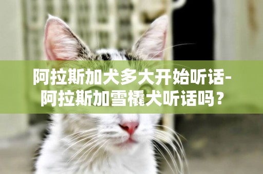 阿拉斯加犬多大開始聽話-阿拉斯加雪橇犬聽話嗎？